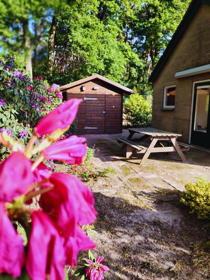 Forest Lodge Vip Luyksgestel 2-6 Personen, Veel Privacy! Exterior photo